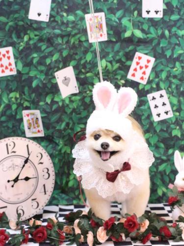 20250405モコくん